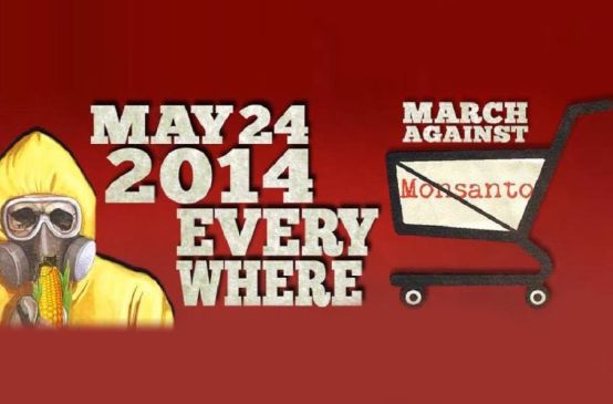 Cartel de la Marcha Mundial contra Monsanto, con un hombre con máscara antigas