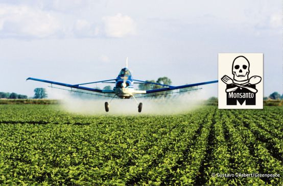 Avioneta lanzando herbicida sobre campo de soja