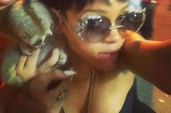 Rihanna con el loris