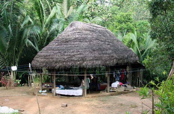 Comunidad indígena en la amazonía ecuatoriana