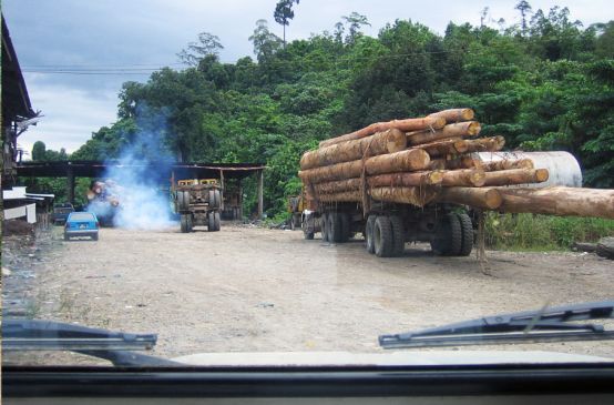 Transporte de madera tropical