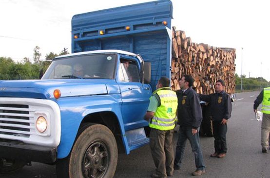 Camión cargado de madera durante una inspección policial