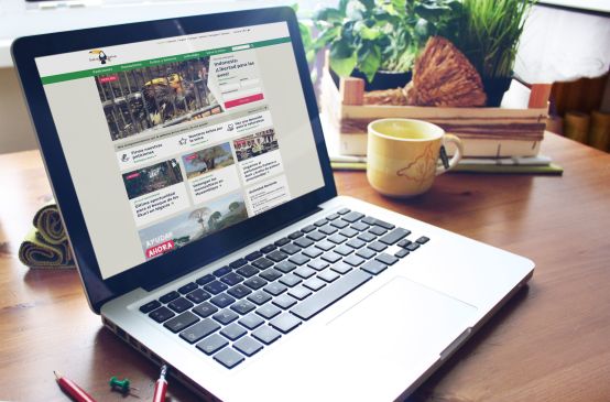 Página web renovada