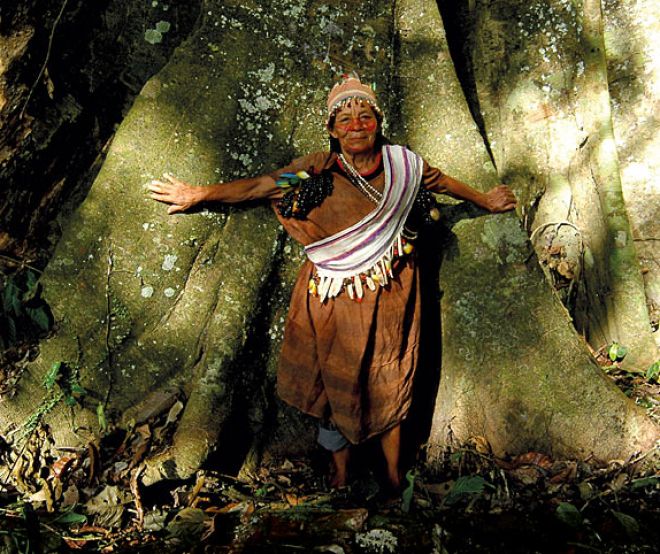 Mujer indígena protege un árbol centenario en la selva tropical de Perú