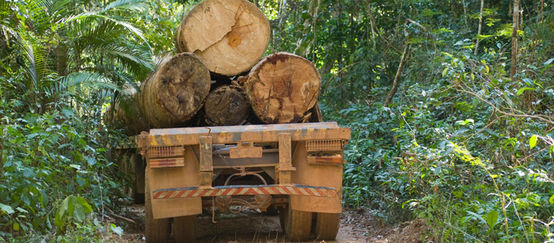 Camión cargado de madera