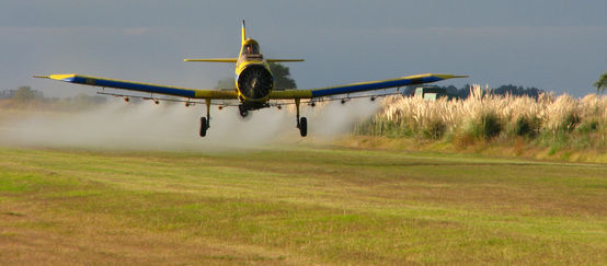 Avioneta fumiga con glifosato