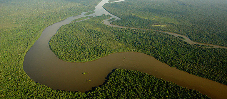 Semejantes paisajes son los que están en juego en Brasil Vista aérea de la selva y río