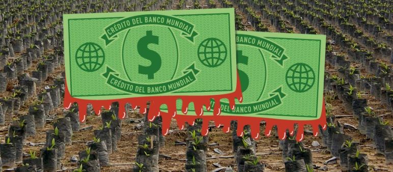 Dólares manchado de sangre sobre una plantación de palma
