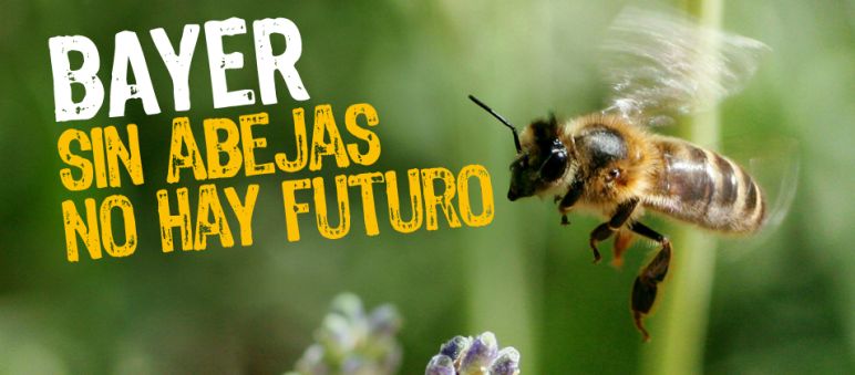 Defendamos las abejas