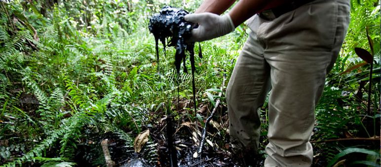 Contaminación petrolera en la Amazonía ecuatoriana Derrame de petroleo en la selva
