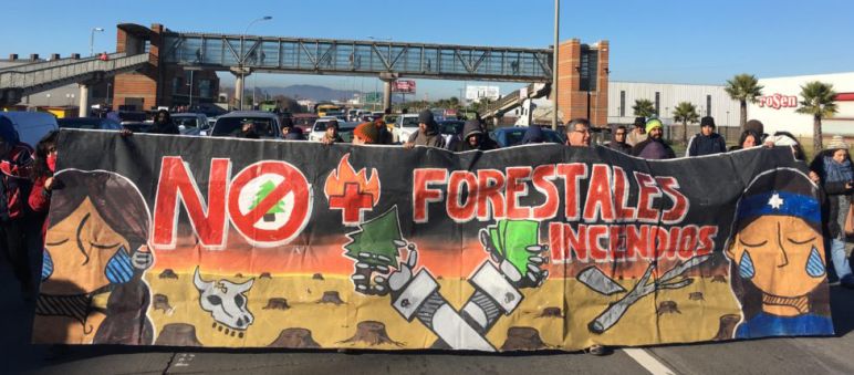 La conferencia sobre los árboles transgénicos encontró protestas en el exterior Protestas en Chile contra el modelo forestal y los árboles transgénicos