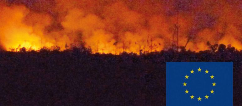 ¿Destruir para consumir? Arde la selva