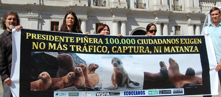 Entrega de firmas en Santiago de Chile Ecoceanos