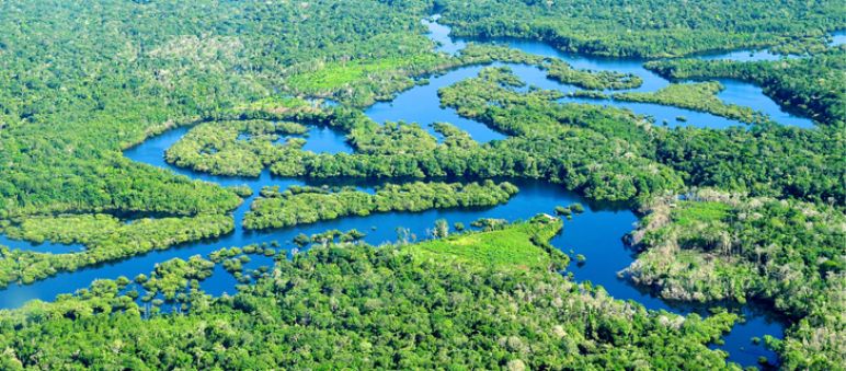 Selva amazónica (Foto: CIFOR) Vista aérea de la selva amazónica
