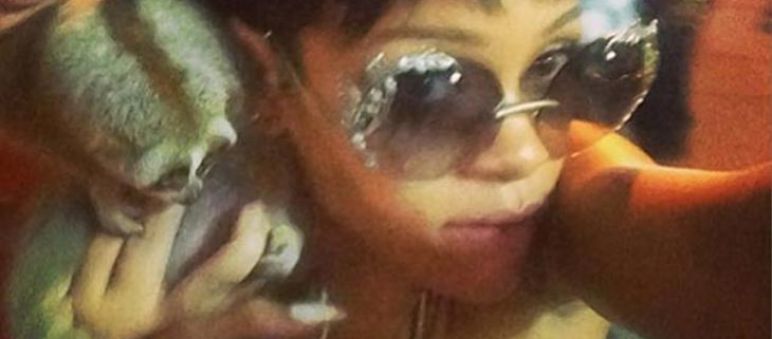 Rihanna con el loris