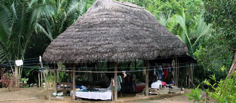 Sarayaku Comunidad indígena en la amazonía ecuatoriana
