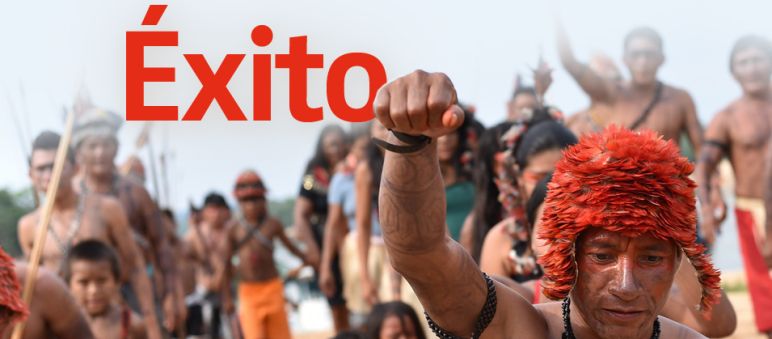 Tapajos - Munduruku - Éxito