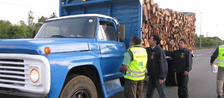 Policías inspeccionan transportes de madera Camión cargado de madera durante una inspección policial