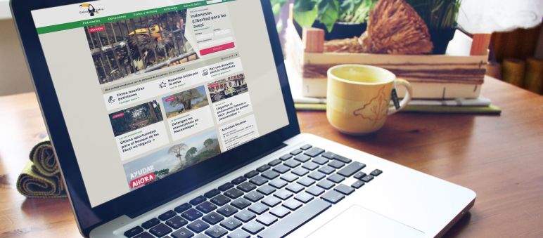 Página web renovada