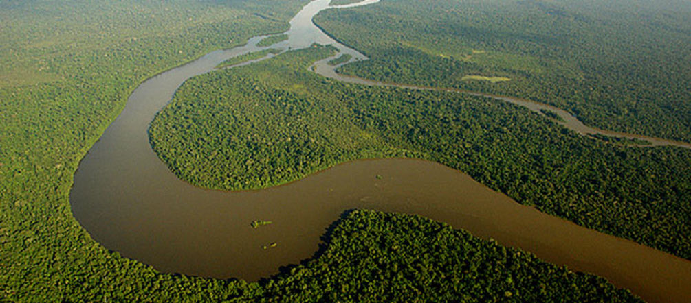 Semejantes paisajes son los que están en juego en Brasil Vista aérea de la selva y río