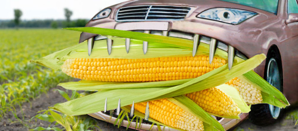 Los autos se tragan los alimentos de las personas Un auto come maíz
