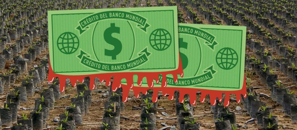Dólares del banco mundial financian la palma en Honduras Dólares manchado de sangre sobre una plantación de palma