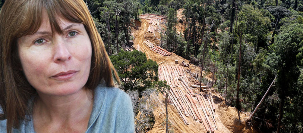 Perseguida por incómoda: la periodista Clare Rewcastle Brown (© Erwin Zbinden/mongabay.com)