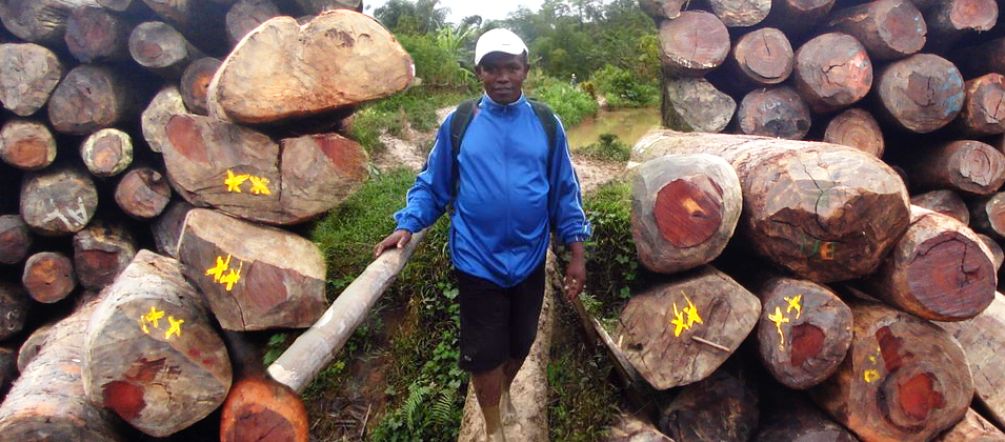 Clovis Razafimalala, es peligroso denunciar el tráfico de madera de palisandro en Madagascar Clovis Razafimalala