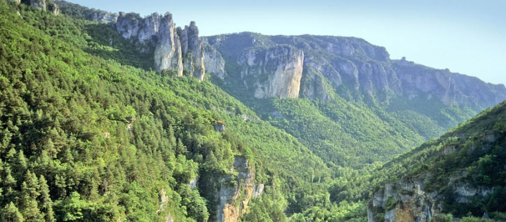 ¿Convertir los bosques del sur de Francia en Biomasa? © david hughes - Fotolia.com Bosque y montañas en Francia