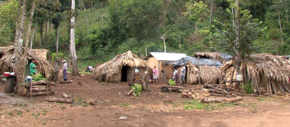 Comunidad que ha sufrido una expulsión (Foto: Gregory Lassale) Una comunidad de refugiados en la selva
