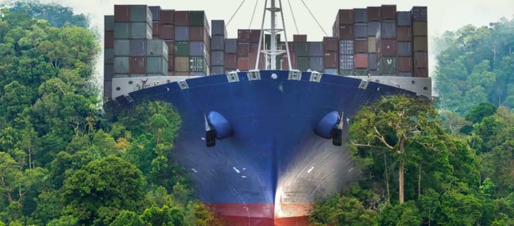 Destrucción masiva de la naturaleza para agilizar el libre comercio global Nicaragua barco a través de la selva