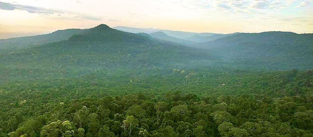 Así debe conservarse: la selva hasta el horizonte (Foto: Luke Duggleby) Montañas de cardamomo