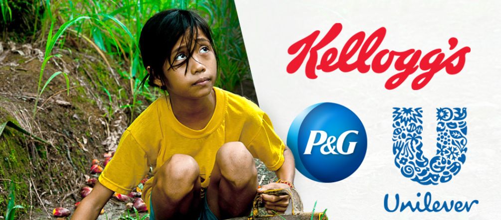 Monocultivos y trabajo infantil van mano a mano en la producción de aceite de palma Kellogg’s, Nestlé, Unilever: trabajo infantil en la producción de aceite de palma