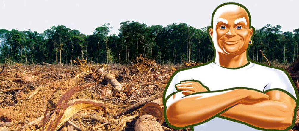 La selva ya está "limpia" (Foto: iStockphoto/ Montaje: Salva la Selva) Don Limpio y al fondo una selva destruida