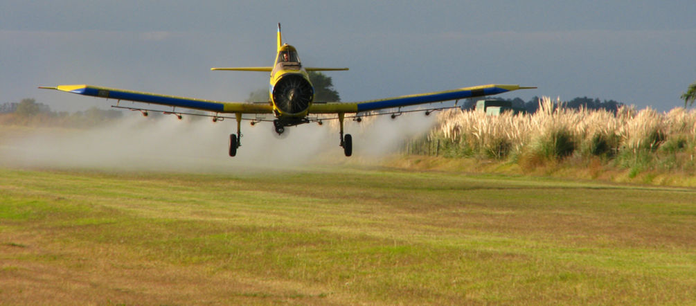 Avioneta fumiga con glifosato