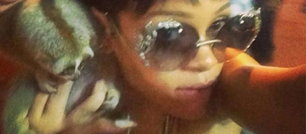 Foto: Badgalriri via Instagram. Rihanna con el loris, la pasada semana Rihanna con el loris