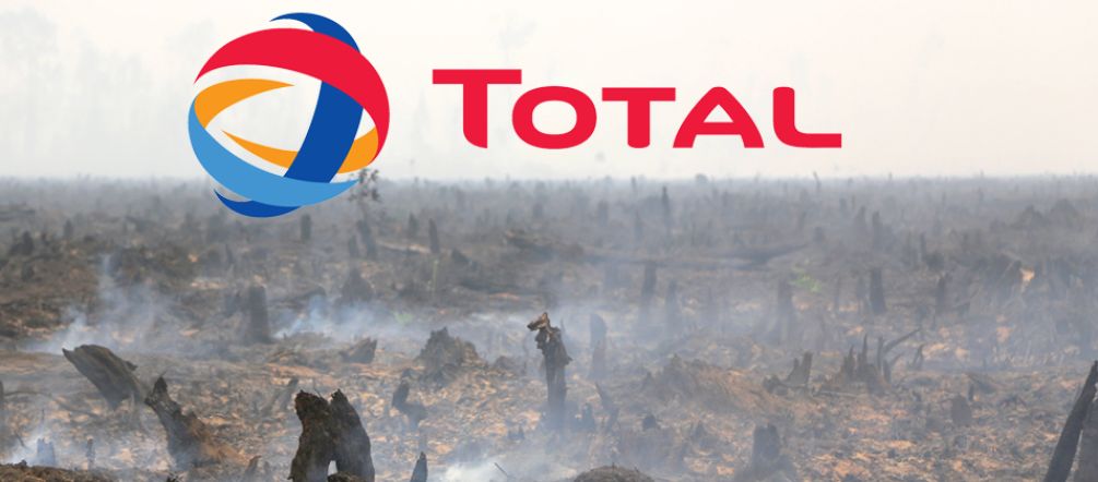 La demanda de biocombustible de aceite de palma causa la tala y quema de selvas Selva talada y quemada