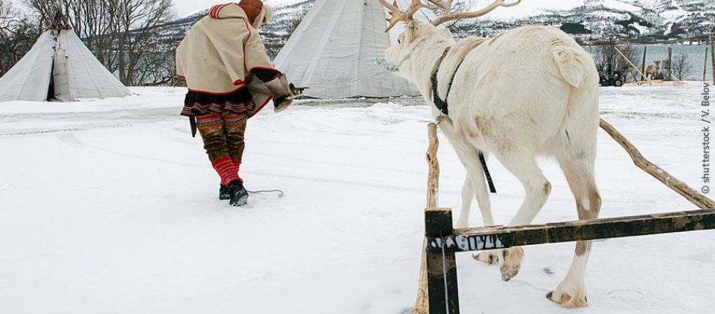El territorio del pueblo lapón está sometido a múltiples amenazas Indígenas sami y reno