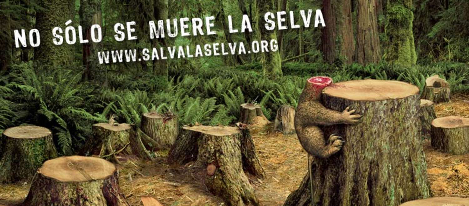 No sólo muere la selva