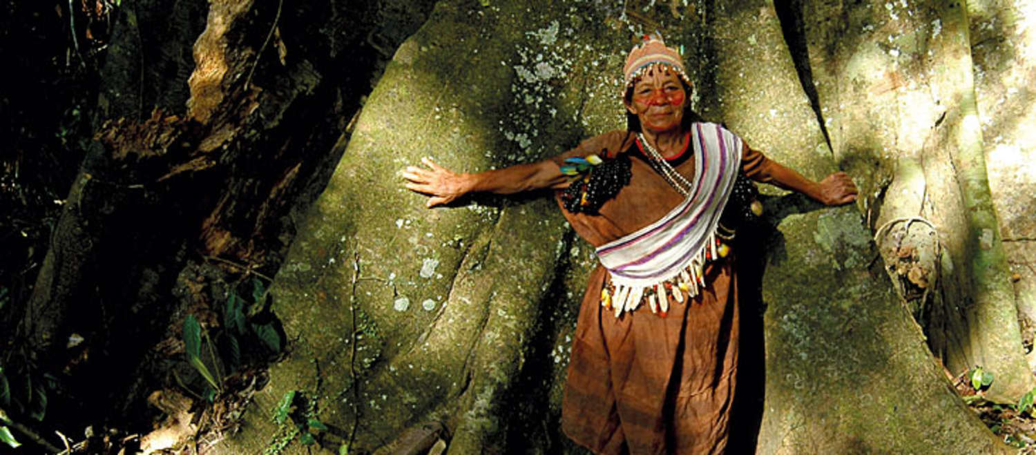 Mujer indígena protege un árbol centenario en la selva tropical de Perú