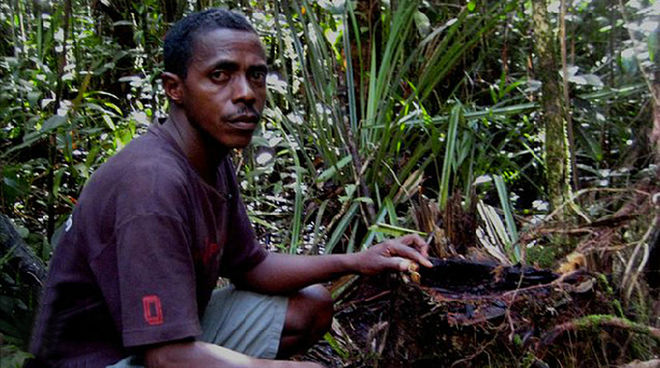 El guía turístico Armand Marozafy señala madera de ébano y palisandro talados ilegalmente en Madagascar (Fuente: BBC.com) Armand Marozafy