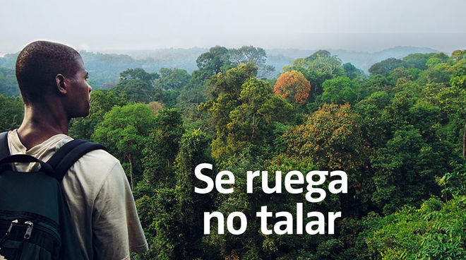 Selva de Camerún Se ruega no talar