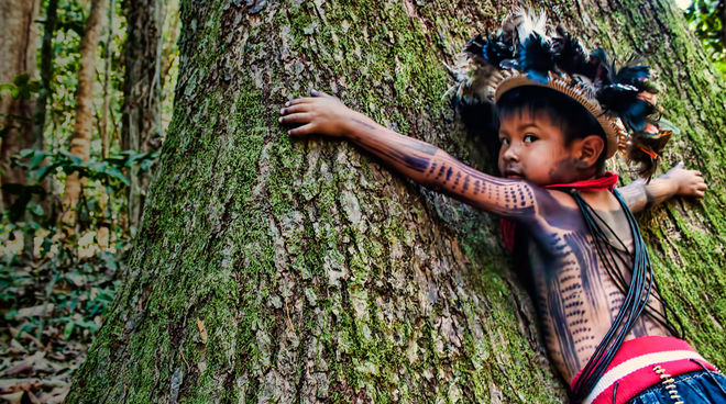 Niño del pueblo Paiter Surui Brasil Niño indígena Paiter Surui abraza un árbol en su territorio en la Amazonía de Brasil