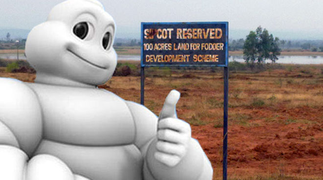 Michelin responsable de deforestación en India