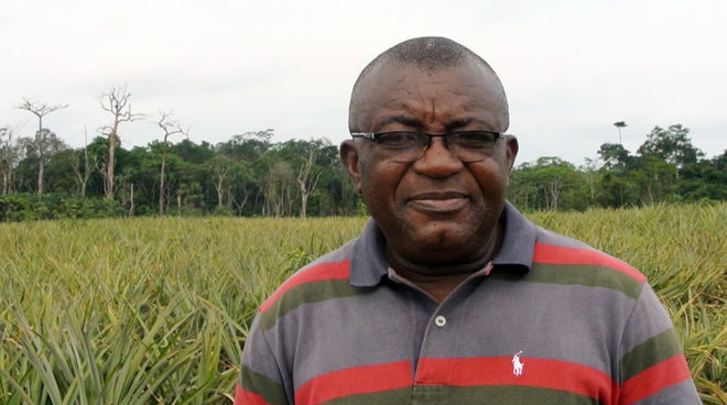 Odey Oyama se opone a las plantaciones de piña en el Parque Nacional Cross River Odey Oyama en una plantación de piña / ananá en el Parque Nacional Cross River en Nigeria