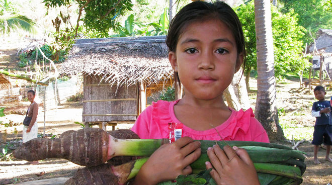 Familias indígenas Pala'wan cultivan tradicionalmente vegetales en sus huertos Niña Pala’wan en su comunidad con un taro, verdura local