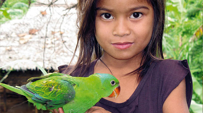 Palma aceitera y minería amenazan a la población y a la biodiversidad