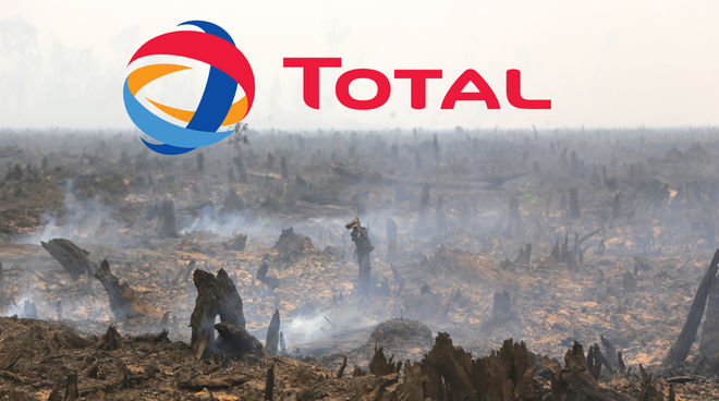 La demanda de biocombustible de aceite de palma causa la tala y quema de selvas Selva talada y quemada