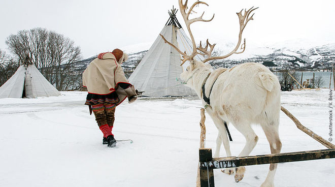 El territorio del pueblo lapón está sometido a múltiples amenazas Indígenas sami y reno