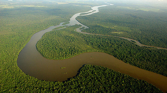 Vista aérea de la selva y río